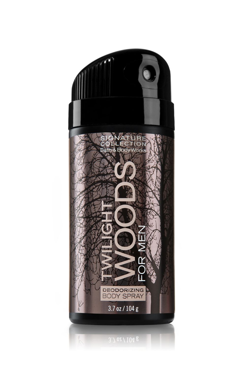 Buy Bath & Body Works Twilight Woods Deodorizing Body Spray for Men