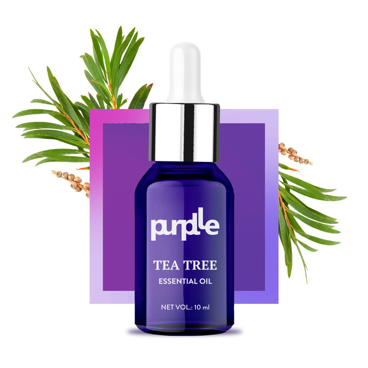 Purplle Essential Oil - Tea Tree (10ml)