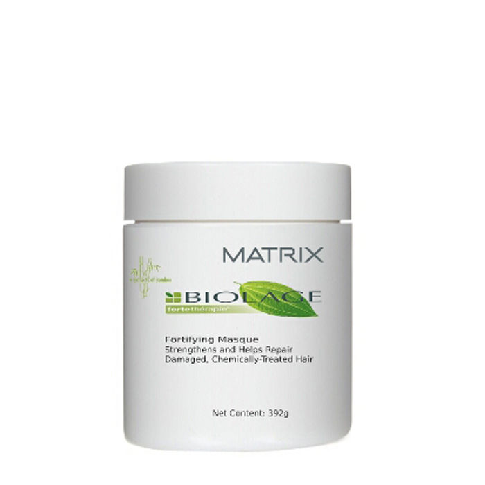 Buy Matrix Biolage Strengthening Masque (392 g) (Pack of 2) Online
