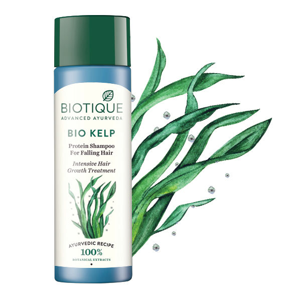 Buy Biotique Fresh Growth Protein Shampoo Bio Kelp 120ml