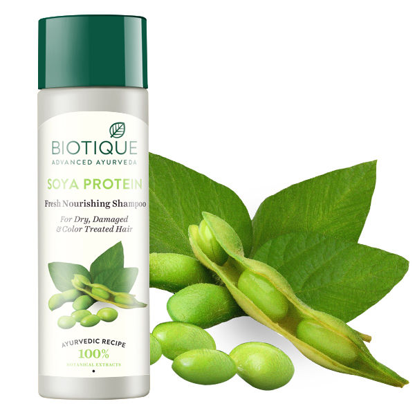 Buy Biotique Fresh Balancing Shampoo Bio Soya Protein 120 Ml